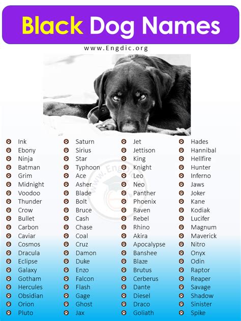 brown black dog names